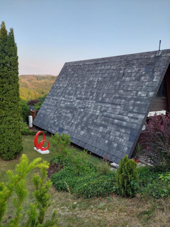 Haus Am See Willingen Willingen  Extérieur photo