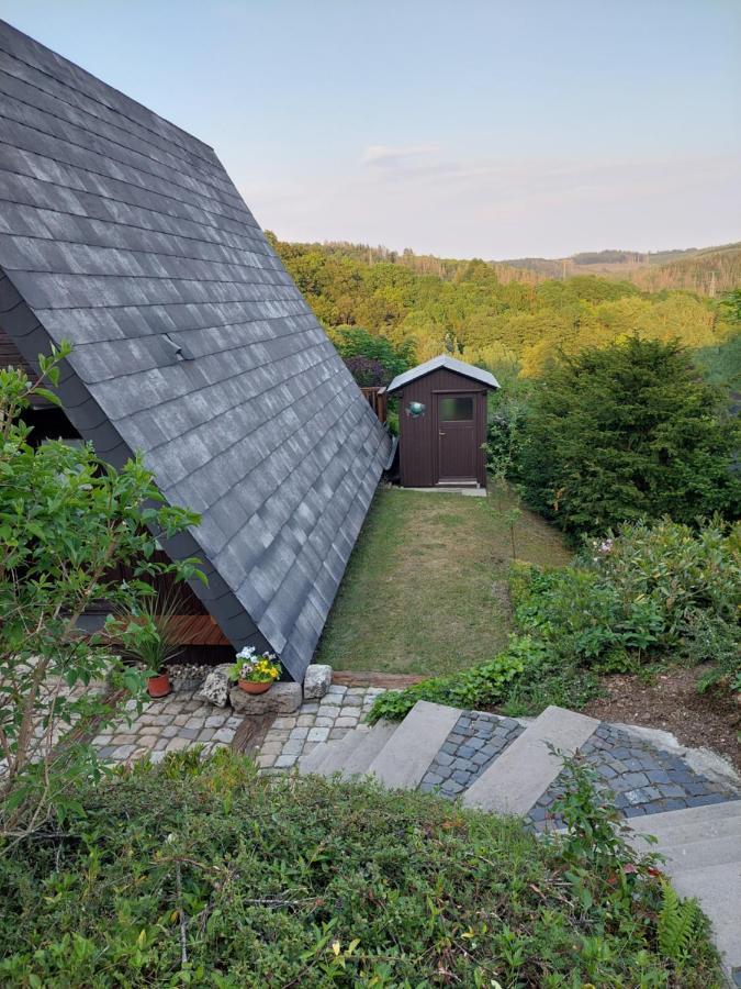 Haus Am See Willingen Willingen  Extérieur photo