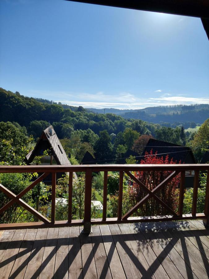 Haus Am See Willingen Willingen  Extérieur photo
