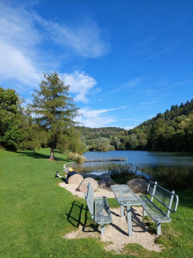 Haus Am See Willingen Willingen  Extérieur photo